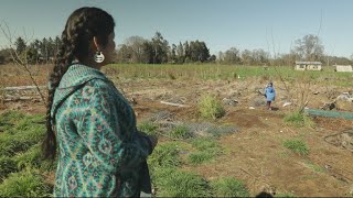 Reporters: Chile?s Mapuche people fighting for their land