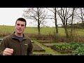 10 Ways to Make your Vegetable Garden More Productive in 2017...and Beyond!
