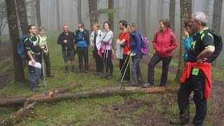 Zintzo Mintzoren Kultur Ibilaldia Mendian. 2015 Ekaina
