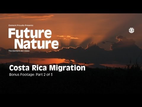 FUTURE NATURE "COSTA RICA MIGRATION" Part 2 of 3
