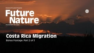 FUTURE NATURE "COSTA RICA MIGRATION" Part 2 of 3