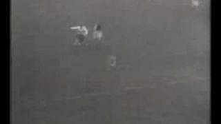 RWDLbPunC-8 Video Image