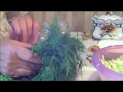 Кабачки оладьи из кабачков на кефире Кабачки оладьи из кабачков на кефире