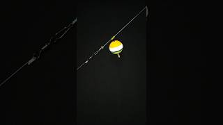 Series Of Fishing Rods For Snapper Fishing