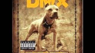 Watch DMX We Go Hard video