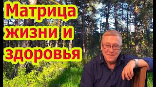 Матрица Жизни И Здоровья, Улучшает Кровообращение И Исцеляет Нервную Систему.