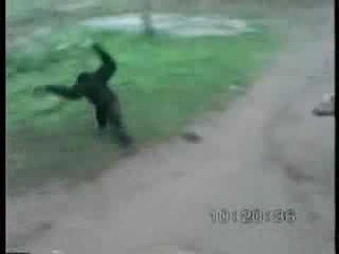 funny monkey videos. Tiger amp; Monkey -very funny act middot; Monkey Teasing A Dog