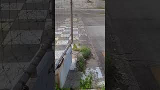 Abandoned Racetrack