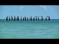 AVE MARIA Schubert Gospel Music Classical #5 Instrumental Christian songs Classic Musica Wedding