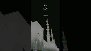 Qafle Wallo Suno