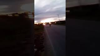 Topadinha De Leve Equipe Polemicos No Asfalto