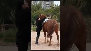 Horse Pulls Owner Close For A Hug Kiss Horse Kisses Girl Viralhog