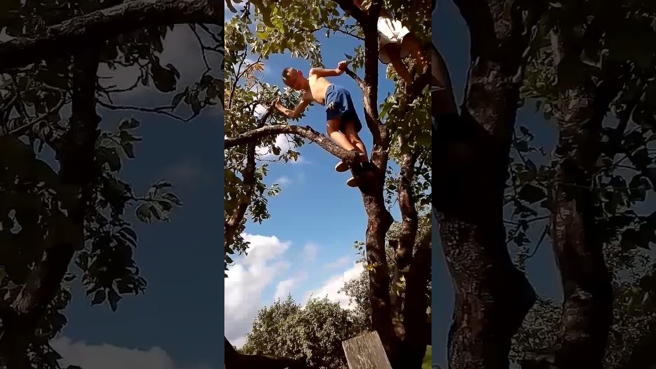 Сексуальная Ева залезла на корни дерева
