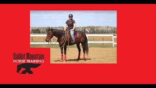 MONTH TWO UPDATE AT RMHT