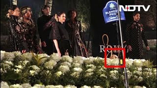 Dog Crashes Sidharth Malhotra's Ramp Walk In Hilarious Video