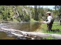 Yellowstone National Park Fly Fishing