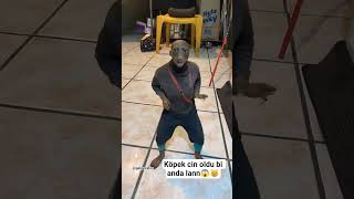 Köpek Dans Ediyor