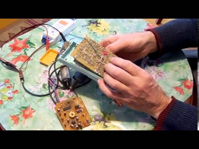 Картины из ракушек морских Картины из ракушек морских
