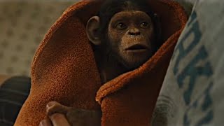 Live Action Curious George - Teaser Trailer