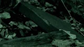 Watch Innerpartysystem This Town Your Grave video