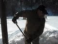 mustyyeti