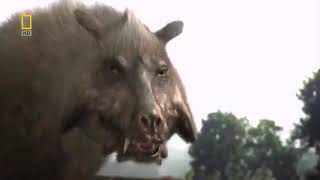 National Geographic Prehistoric Dinosaur Pig