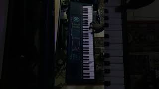 Bontempi Pm 65 Electronic Keyboard
