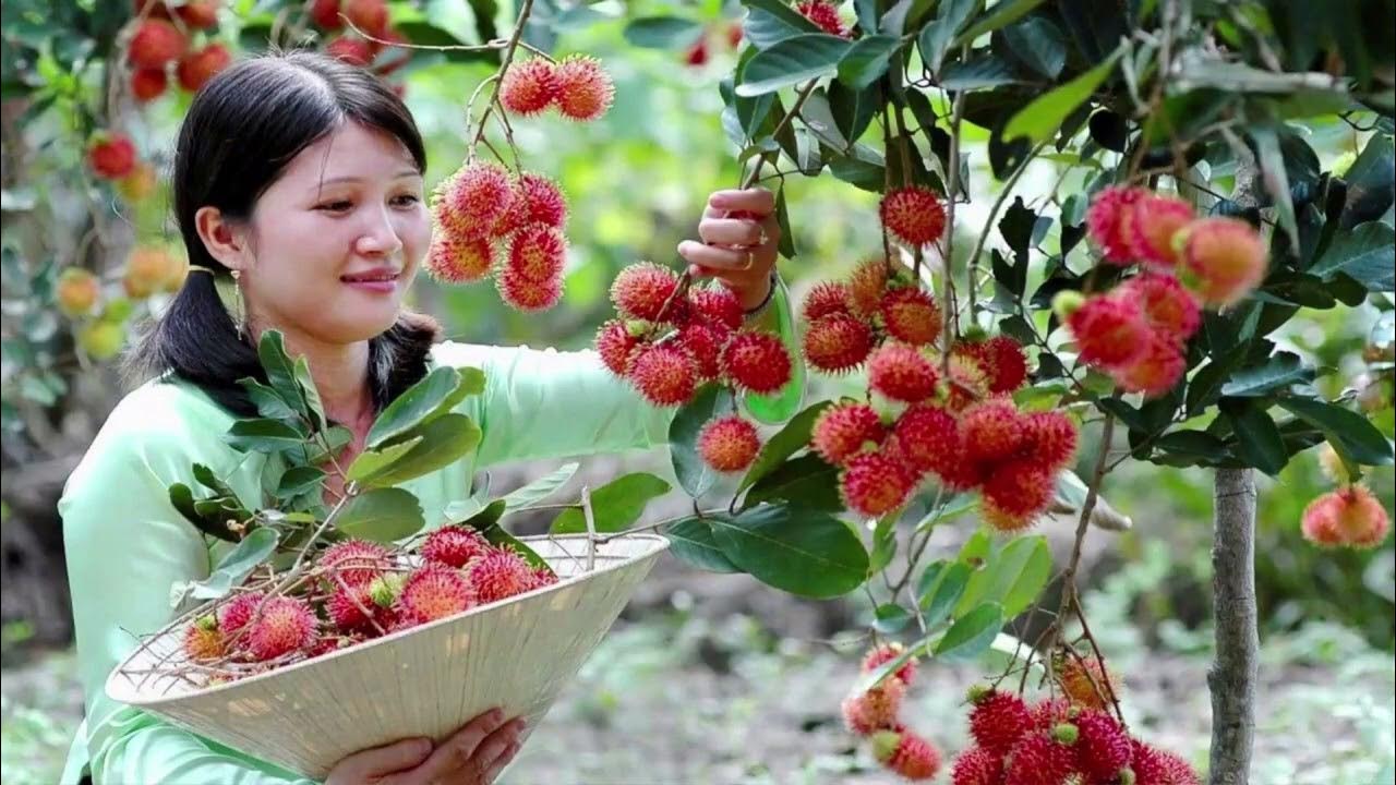 Фрукты китая