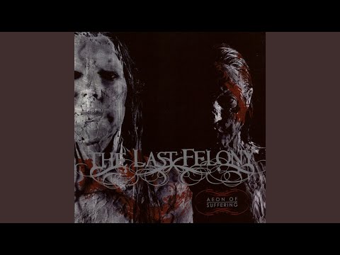 Self Destruction Process Video