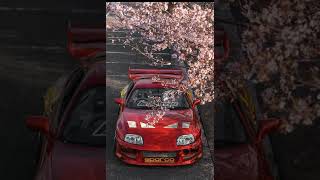 Supra Duvar Kağıtları 4K Video