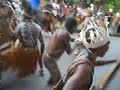 image Jambore Nasional Konda Papua Karnaval