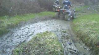 Quad 71