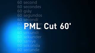 Pml Cut 60 - Intro Hotpmls Franchise Serie On Alternate Channel