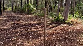 12 Susan St Russell Island Land For Sale 75,000 653 Sqm Redlands Coast Realty