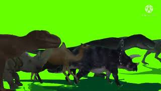 Its A Stampede