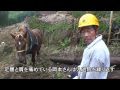 【探訪】地駄引き馬 伝統守る絆