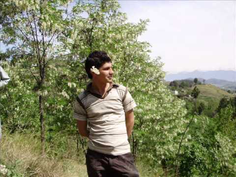 BheeGi Palkon Par