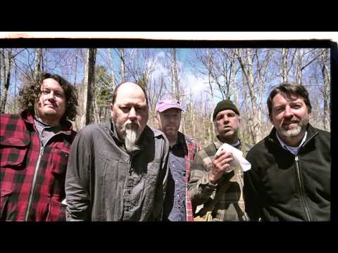 Magnolia Video
