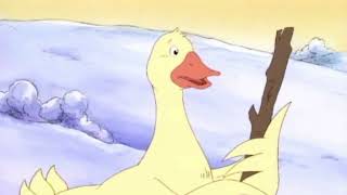 Duck Holding A Stick For 35 Seconds