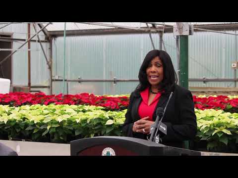Watching video Citi Foundation donates $250K for Summer Youth Employment Program