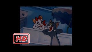 Miglior Fumetto Divertente Tom E Jerry 2017 Episodi Completi Tom E Jerry, 26 Episodio-Solid Seren