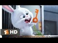 Download The Secret Life of Pets - Busting You Out! Scene (3/10) | Movieclips The Secret Life of Pets - Busting You Out! Scene (3/10) | Movieclips