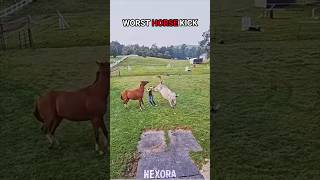 Pov You Just Witnessed The Worst Horse Kick Ever