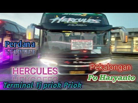 Mannntaaaap Po Haryanto "HERCULES" Baru!!!