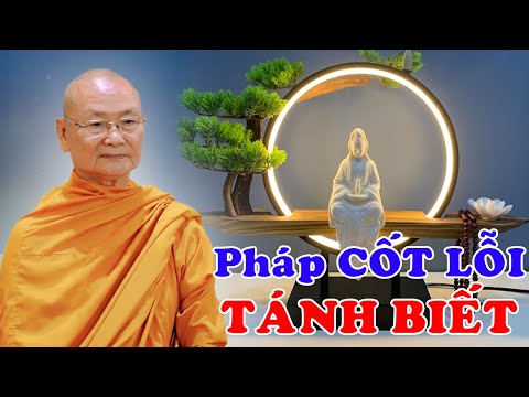 PHÁP CỐT LÕI Nhất là TÁNH BIẾT - HT Viên Minh Giảng | Phật Pháp Vấn Đáp