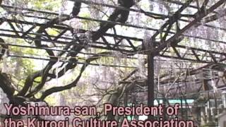 Kurogi-no-Ofuji