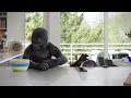 Corning® Gorilla® Glass 4: Counter Attack (Kitchen)