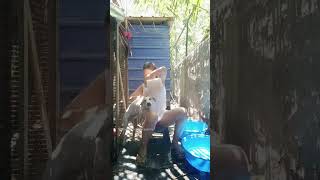 Sobrang Init Ng Panahon Non