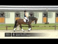 Famous Star (Wynton x Krack C x Roemer)