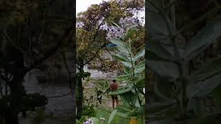 A Beautiful Village Bath With Children